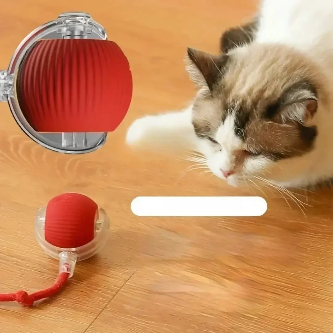 Juguete Interactivo Automático para Gatos — Pluma Eléctrica
