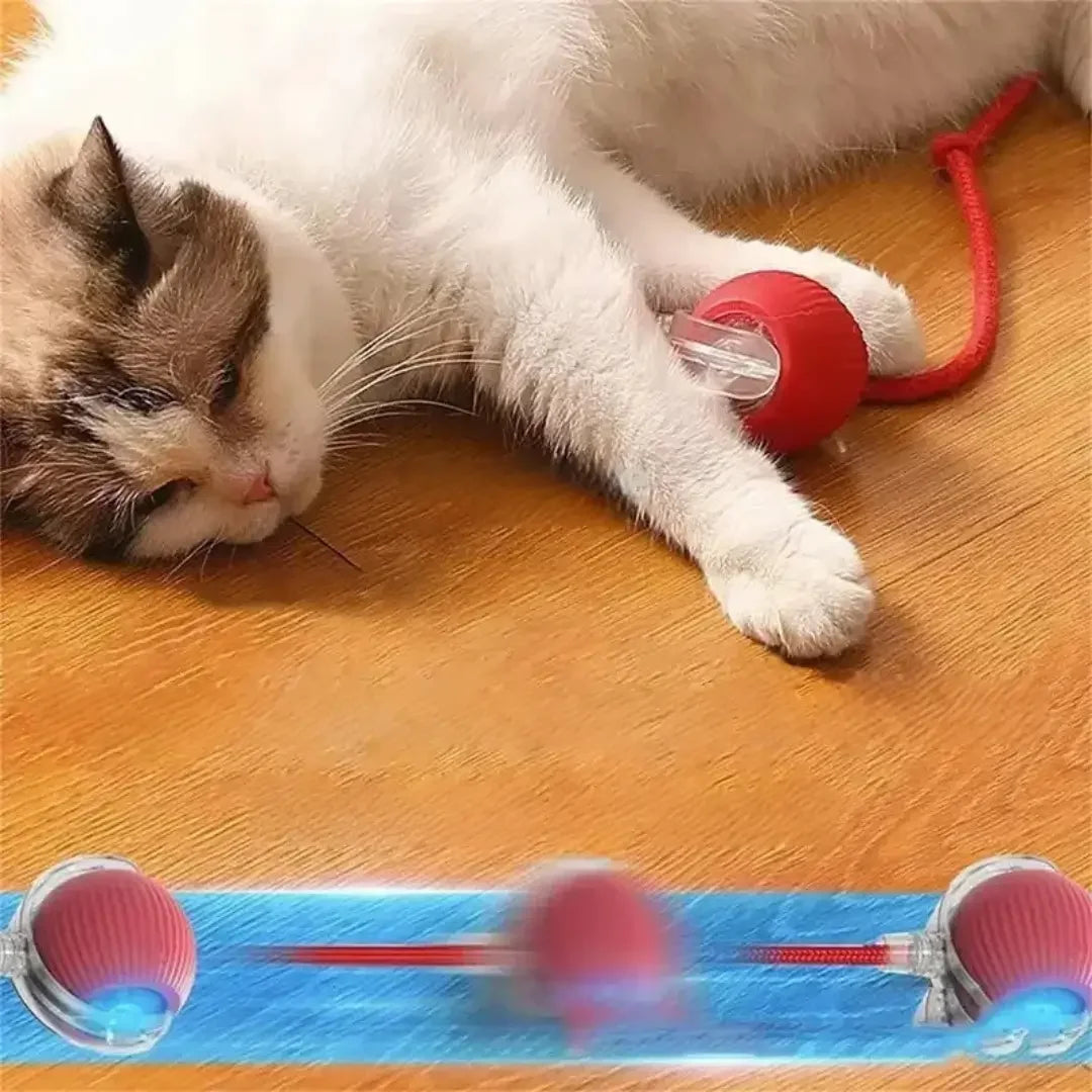 Juguete Interactivo Automático para Gatos — Pluma Eléctrica